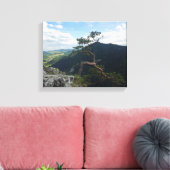 Sokolica, Pieniny Canvas Afdruk (Insitu (Woonkamer))