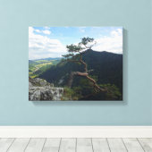 Sokolica, Pieniny Canvas Afdruk (Insitu (Houten vloer))