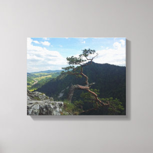 Sokolica, Pieniny Canvas Afdruk