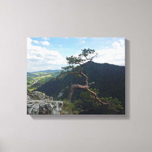 Sokolica, Pieniny Canvas Afdruk (Voorkant)