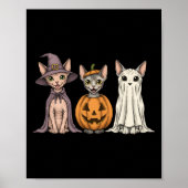 Soky Ghost Sphynx Cat Lover Pumpkin Halloween Long Poster (Voorkant)