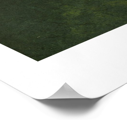 Sol And Goddess Poster (Hoek)