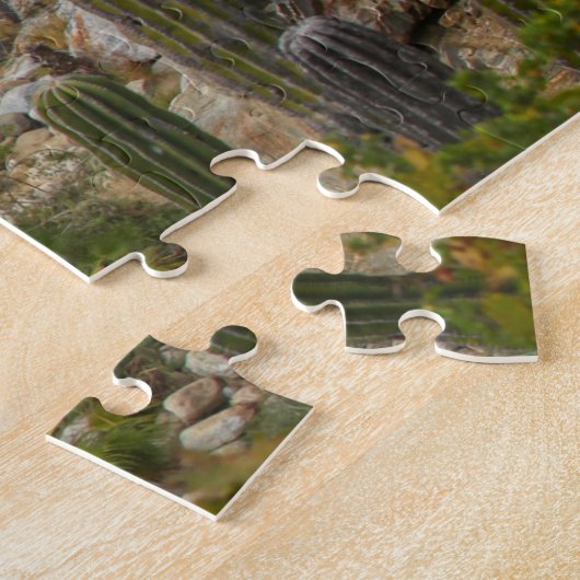 Sol de Mayo Waterfall | Santiago, Mexico Legpuzzel (Zijkant)