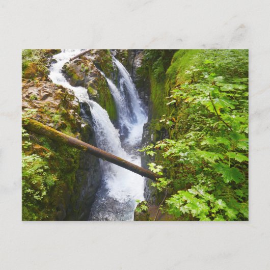 Sol Duc Falls I at Olympic National Park Briefkaart (Voorkant)