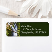 Sol Duc Falls I at Olympic National Park Etiket (Insitu)