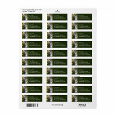 Sol Duc Falls I in Olympic National Park Etiket (Full Sheet)