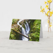 Sol Duc Falls I in Olympic National Park Kaart (Gele Bloem)