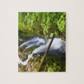 Sol Duc Falls I in Olympic National Park Legpuzzel (Verticaal)