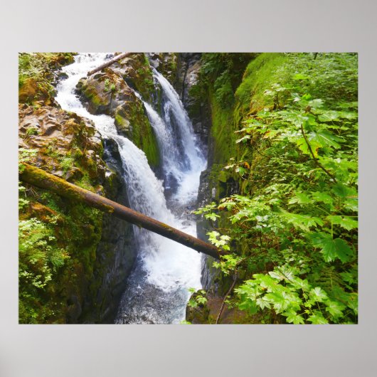 Sol Duc Falls I in Olympic National Park Poster (Voorkant)