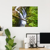 Sol Duc Falls I in Olympic National Park Poster (Thuiskantoor)