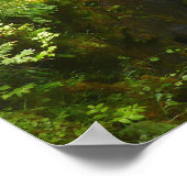 Sol Duc Falls I in Olympic National Park Poster (Hoek)