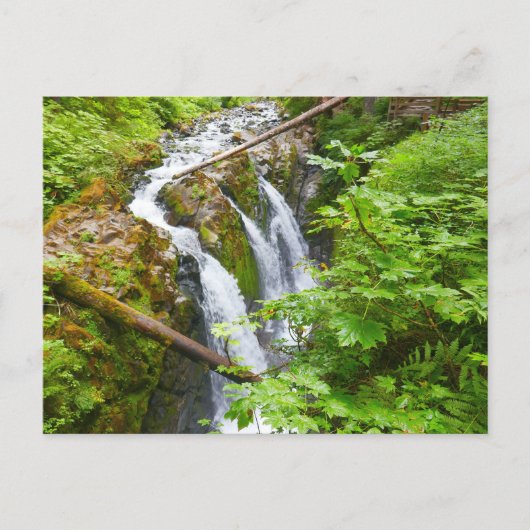 Sol Duc Falls II in Olympic National Park Briefkaart (Voorkant)