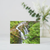 Sol Duc Falls II in Olympic National Park Briefkaart (Staand voorkant)