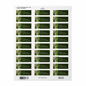 Sol Duc Falls II in Olympic National Park Etiket (Full Sheet)