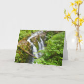 Sol Duc Falls II in Olympic National Park Kaart (Gele Bloem)