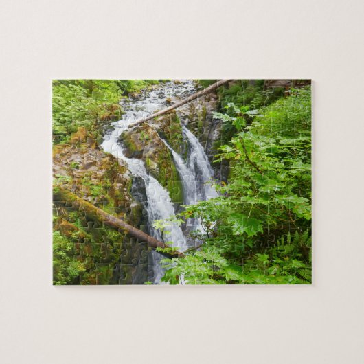Sol Duc Falls II in Olympic National Park Legpuzzel (Horizontaal)