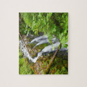 Sol Duc Falls II in Olympic National Park Legpuzzel (Verticaal)