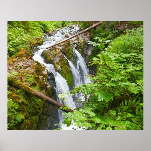 Sol Duc Falls II in Olympic National Park Poster (Voorkant)