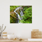 Sol Duc Falls II in Olympic National Park Poster (Keuken)