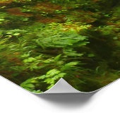 Sol Duc Falls II in Olympic National Park Poster (Hoek)