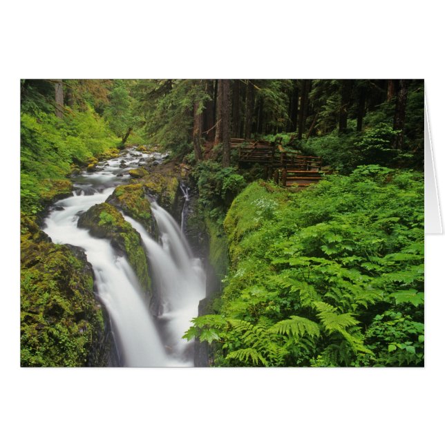 Sol Duc Falls in Olympic National Park in 2 (Voorkant Horizontaal)