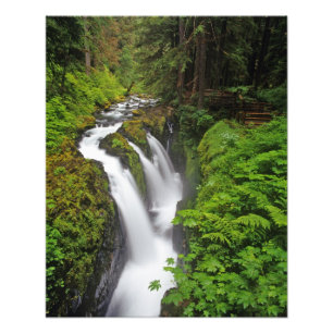 Sol Duc Falls in Olympic National Park in 2 Foto Afdruk