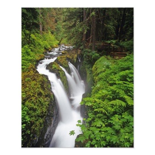 Sol Duc Falls in Olympic National Park in 2 Foto Afdruk (Voorkant)