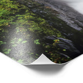 Sol Duc Falls in Olympic National Park in 2 Foto Afdruk (Hoek)