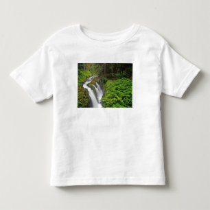 Sol Duc Falls in Olympic National Park in 2 Kinder Shirts