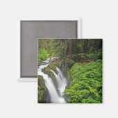 Sol Duc Falls in Olympic National Park in 2 Magneet (Voorkant / Achterkant)