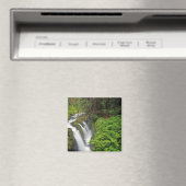 Sol Duc Falls in Olympic National Park in 2 Magneet (Insitu (Vaatwasser))