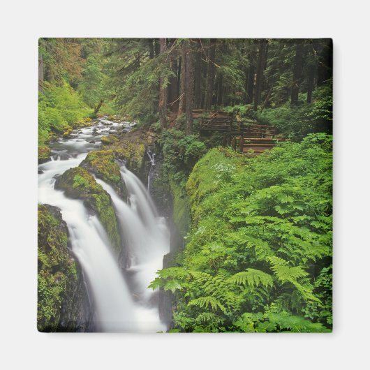Sol Duc Falls in Olympic National Park in 2 Magneet (Voorkant)