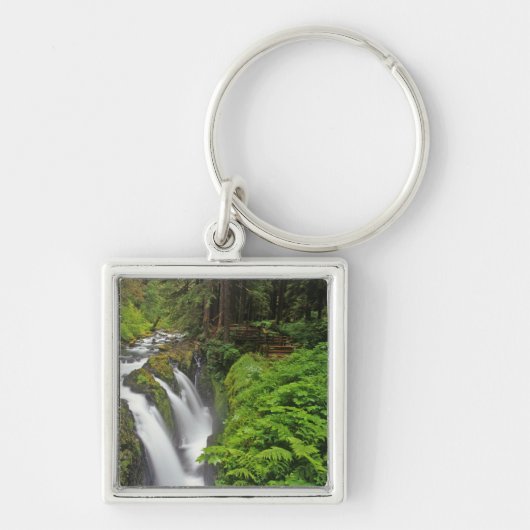 Sol Duc Falls in Olympic National Park in 2 Sleutelhanger (Voorkant)