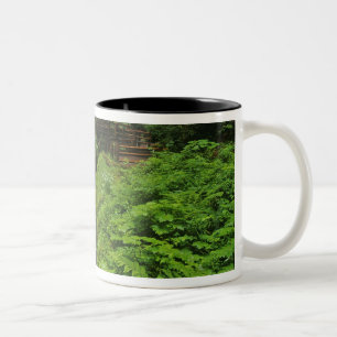 Sol Duc Falls in Olympic National Park in 2 Tweekleurige Koffiemok