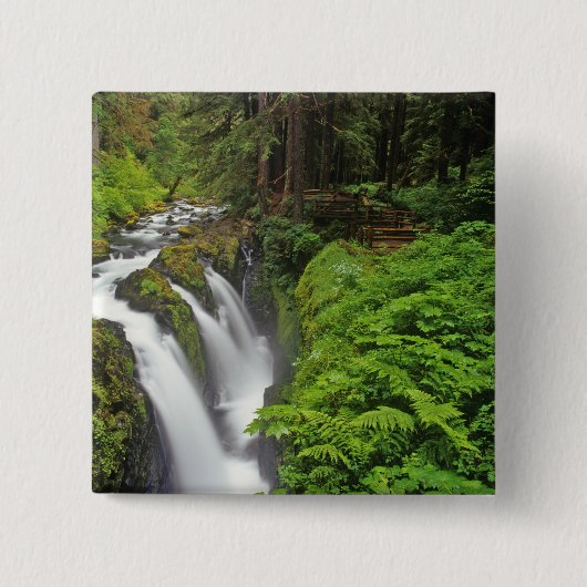 Sol Duc Falls in Olympic National Park in 2 Vierkante Button 5,1 Cm (Voorkant)