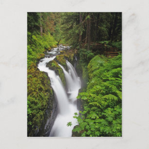 Sol Duc Falls in Olympic National Park in Briefkaart