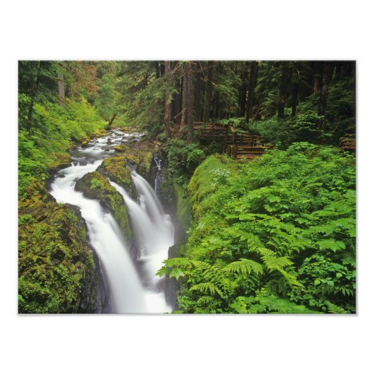 Sol Duc Falls in Olympic National Park in Foto Afdruk (Voorkant)