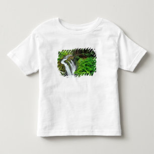 Sol Duc Falls in Olympic National Park in Kinder Shirts