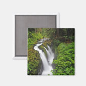 Sol Duc Falls in Olympic National Park in Magneet (Voorkant / Achterkant)