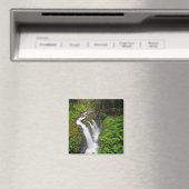 Sol Duc Falls in Olympic National Park in Magneet (Insitu (Vaatwasser))