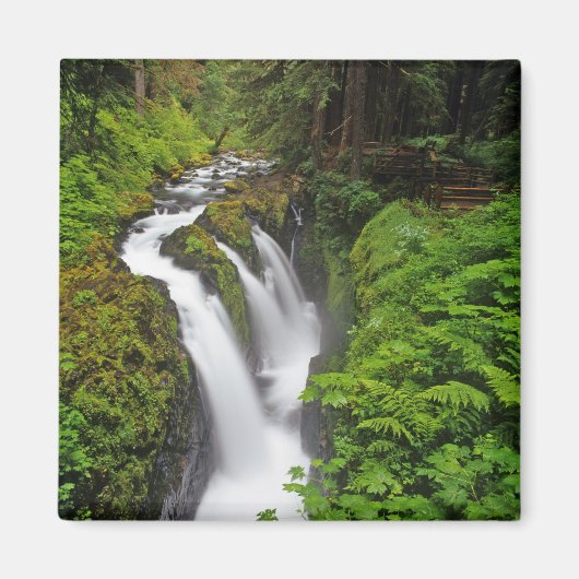 Sol Duc Falls in Olympic National Park in Magneet (Voorkant)