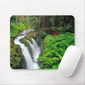 Sol Duc Falls in Olympic National Park in Muismat (Met muis)