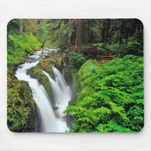 Sol Duc Falls in Olympic National Park in Muismat (Voorkant)