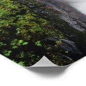 Sol Duc Falls in Olympic National Park in Poster (Hoek)