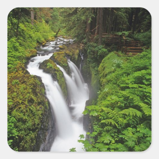 Sol Duc Falls in Olympic National Park in Vierkante Sticker (Voorkant)
