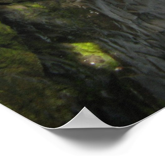 Sol Duc Falls Poster (Hoek)