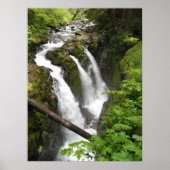 Sol Duc Falls Poster (Voorkant)