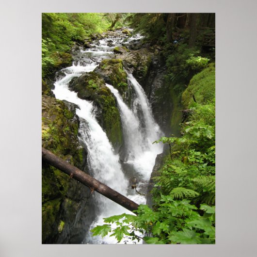Sol Duc Falls Poster (Voorkant)