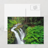 Sol Duc-Herfsten in het Nationaal Park van de Olym Briefkaart (Voorkant / Achterkant)