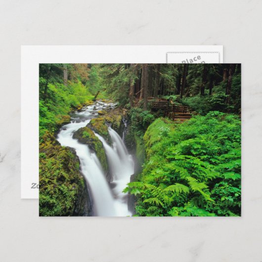 Sol Duc-Herfsten in het Nationaal Park van de Olym Briefkaart (Voorkant / Achterkant)